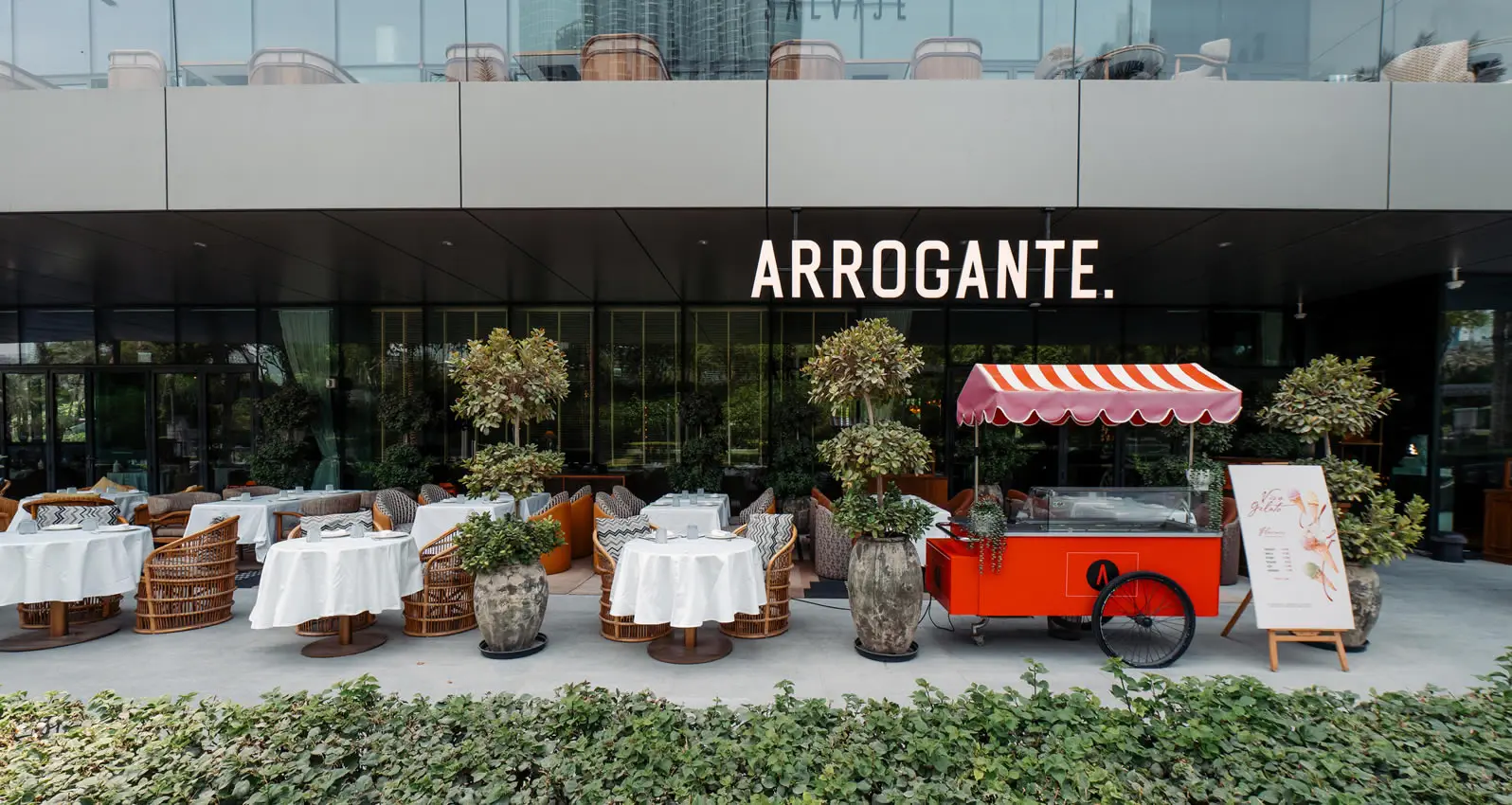 Arrogante 4